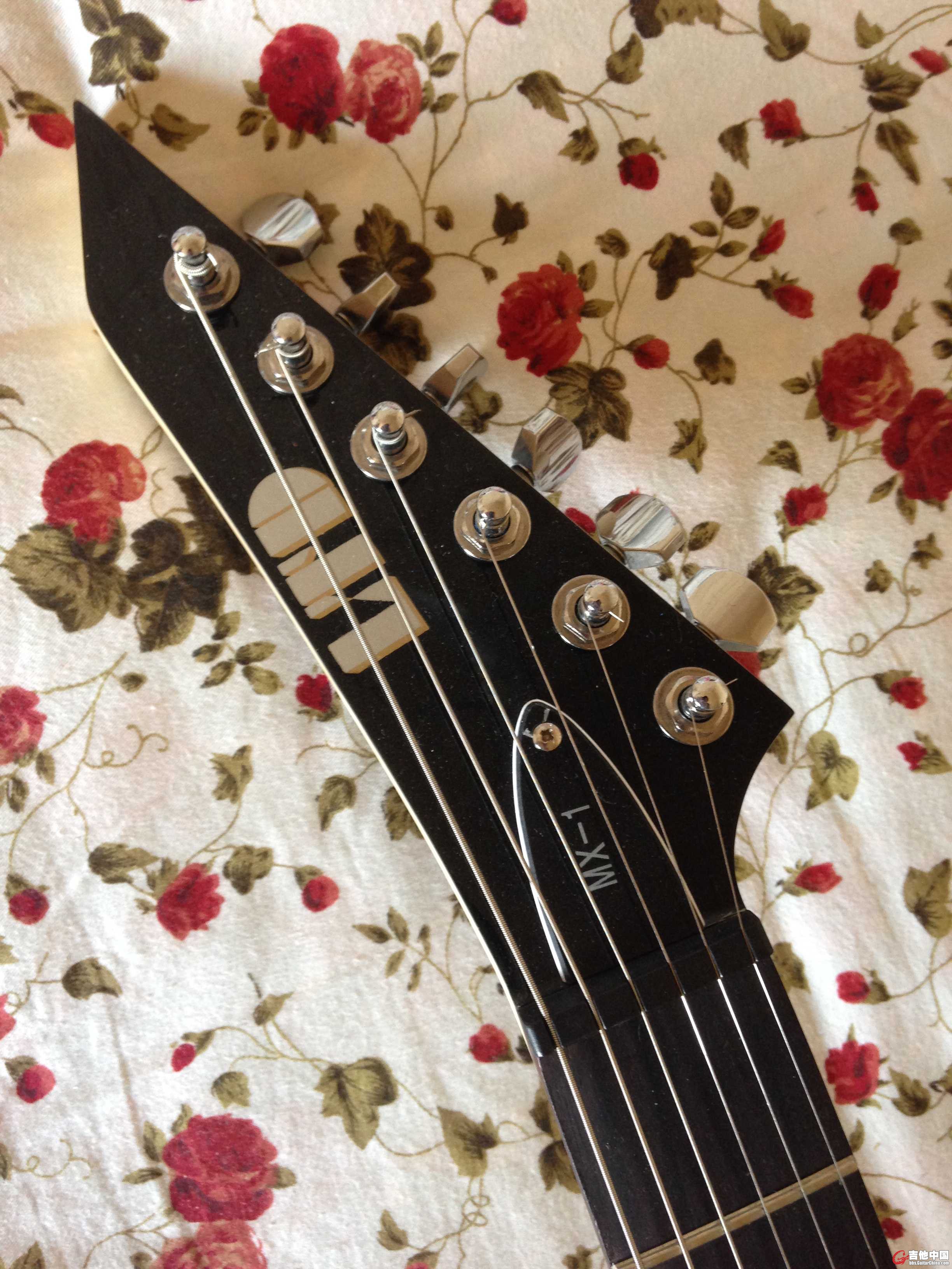2015-04-25 122244.jpg