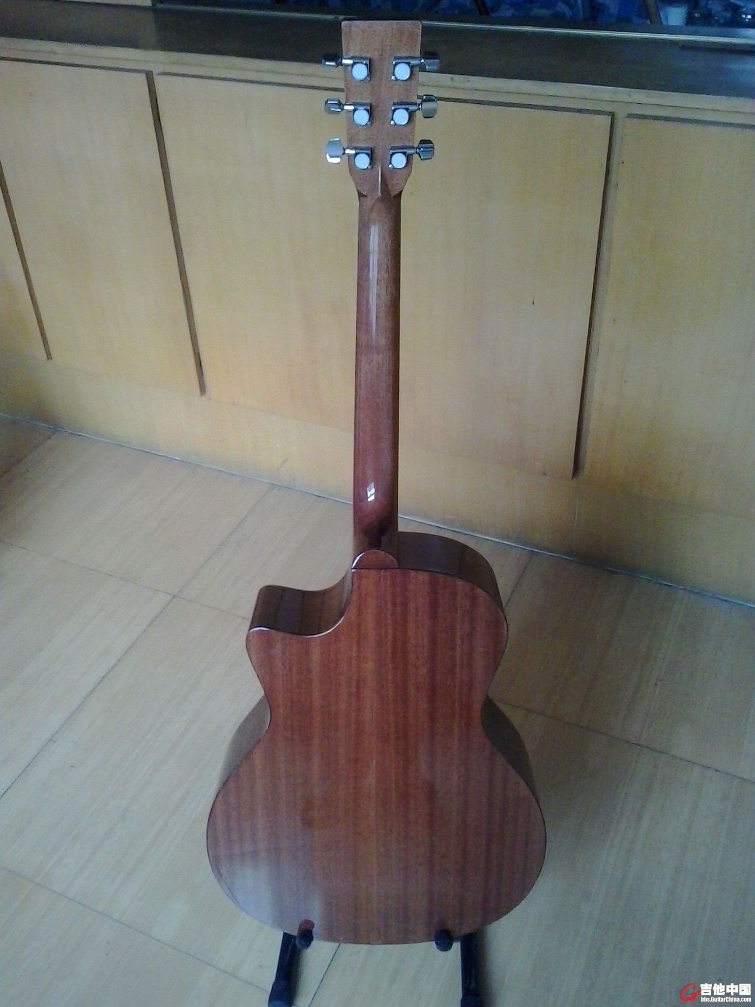 桃花芯侧后