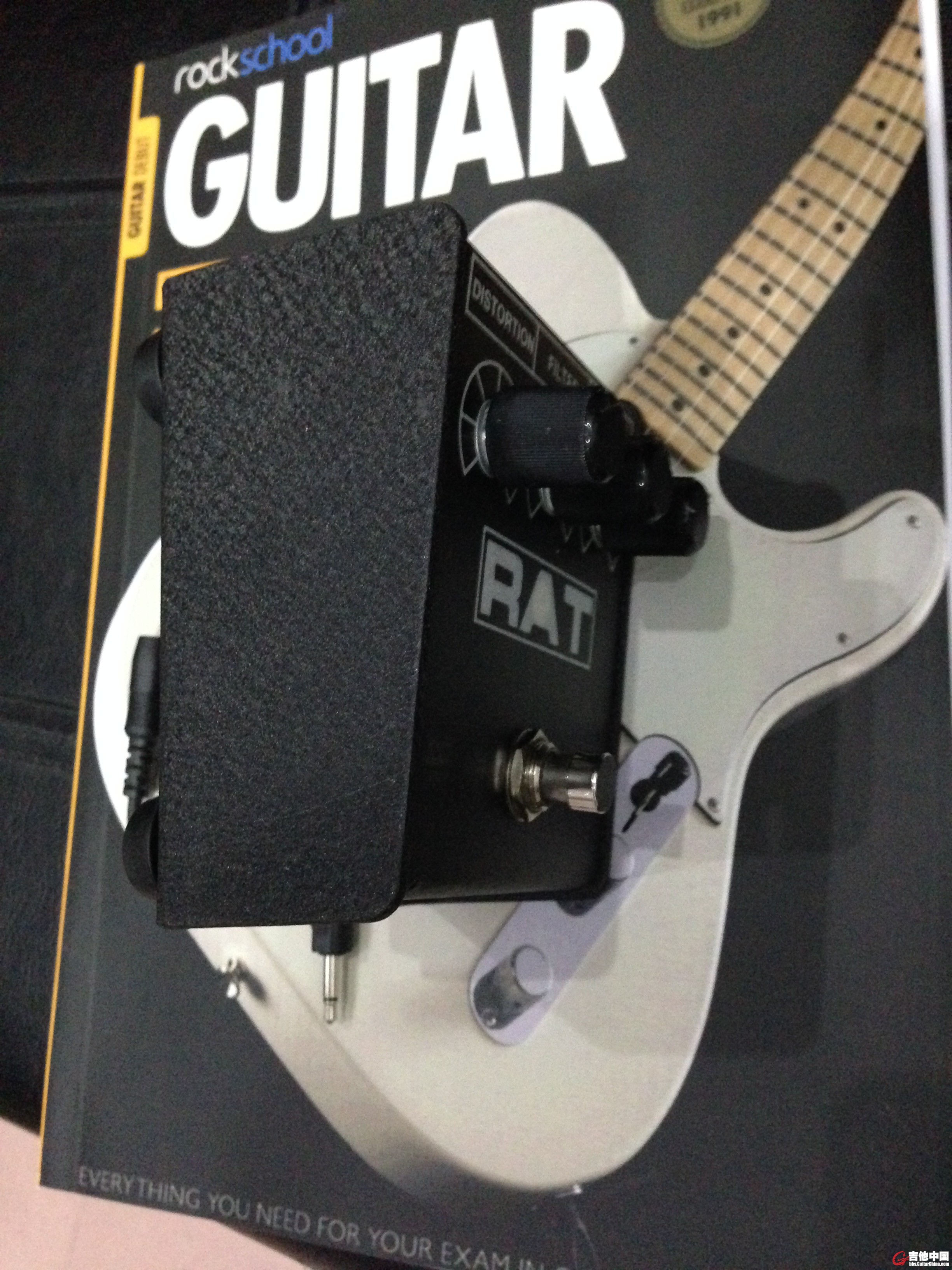 RAT2IMG_2381.JPG