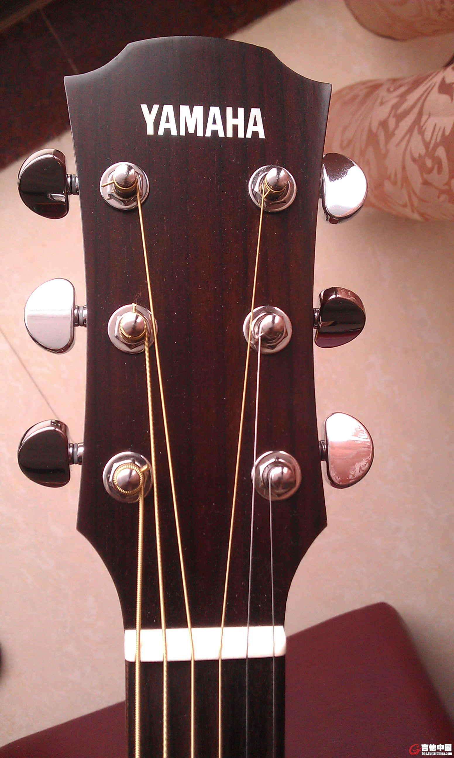 IMAG3101.jpg