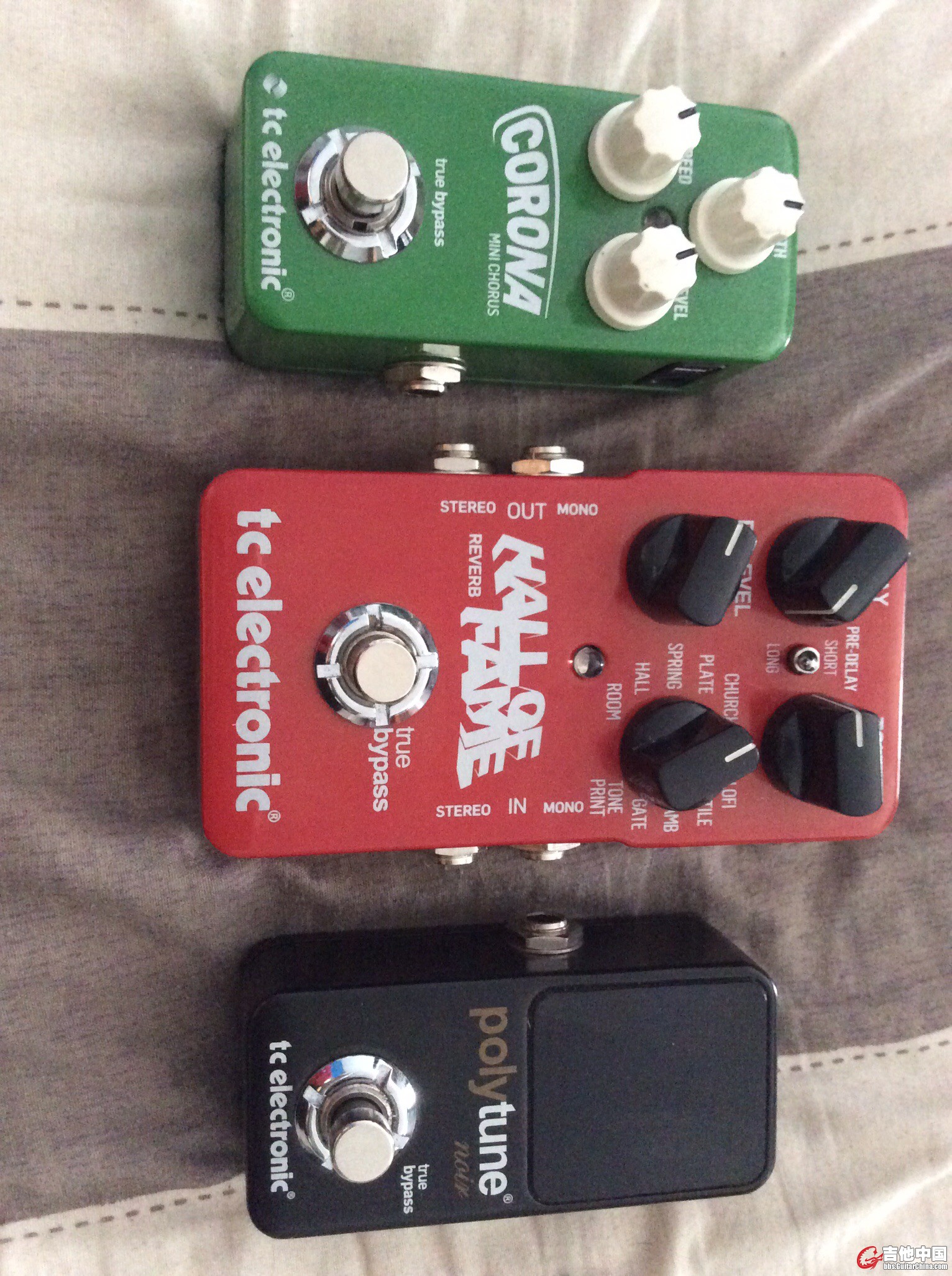 合影一枚 顶起来