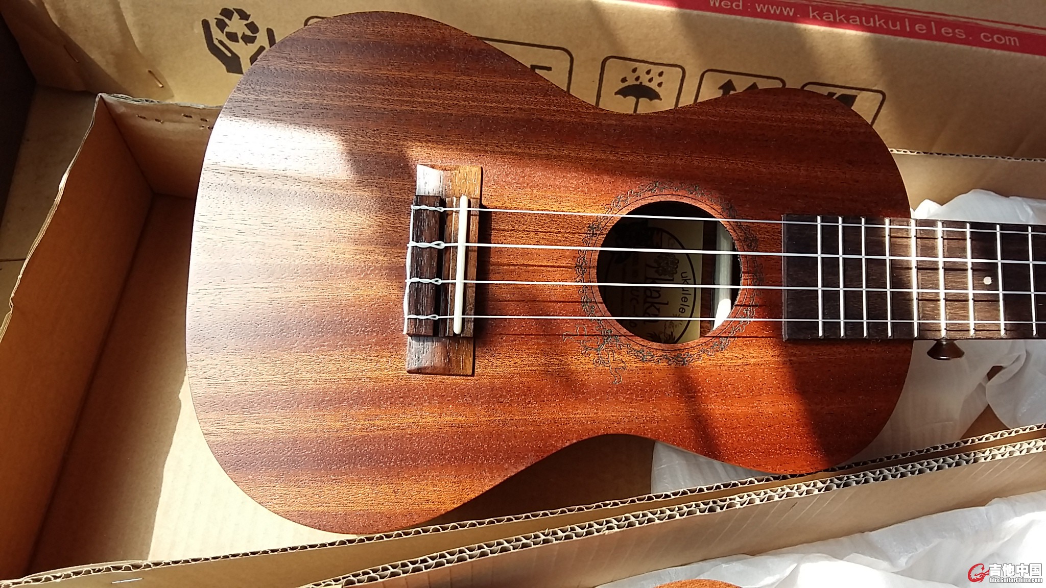 20150308_130556.jpg
