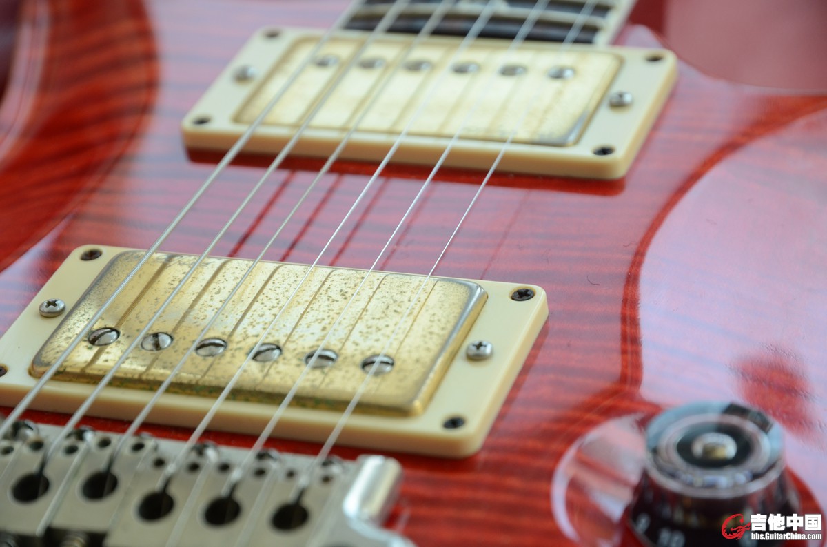 PRS (11).JPG