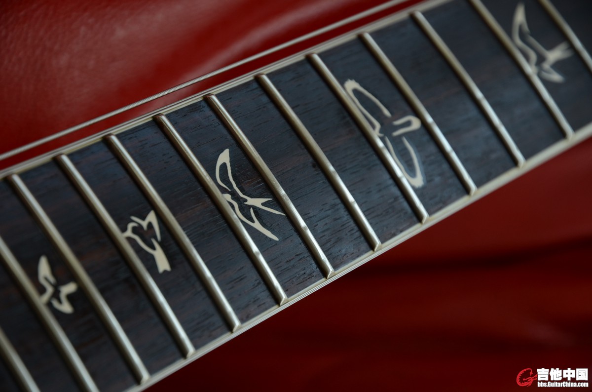 PRS (25).JPG