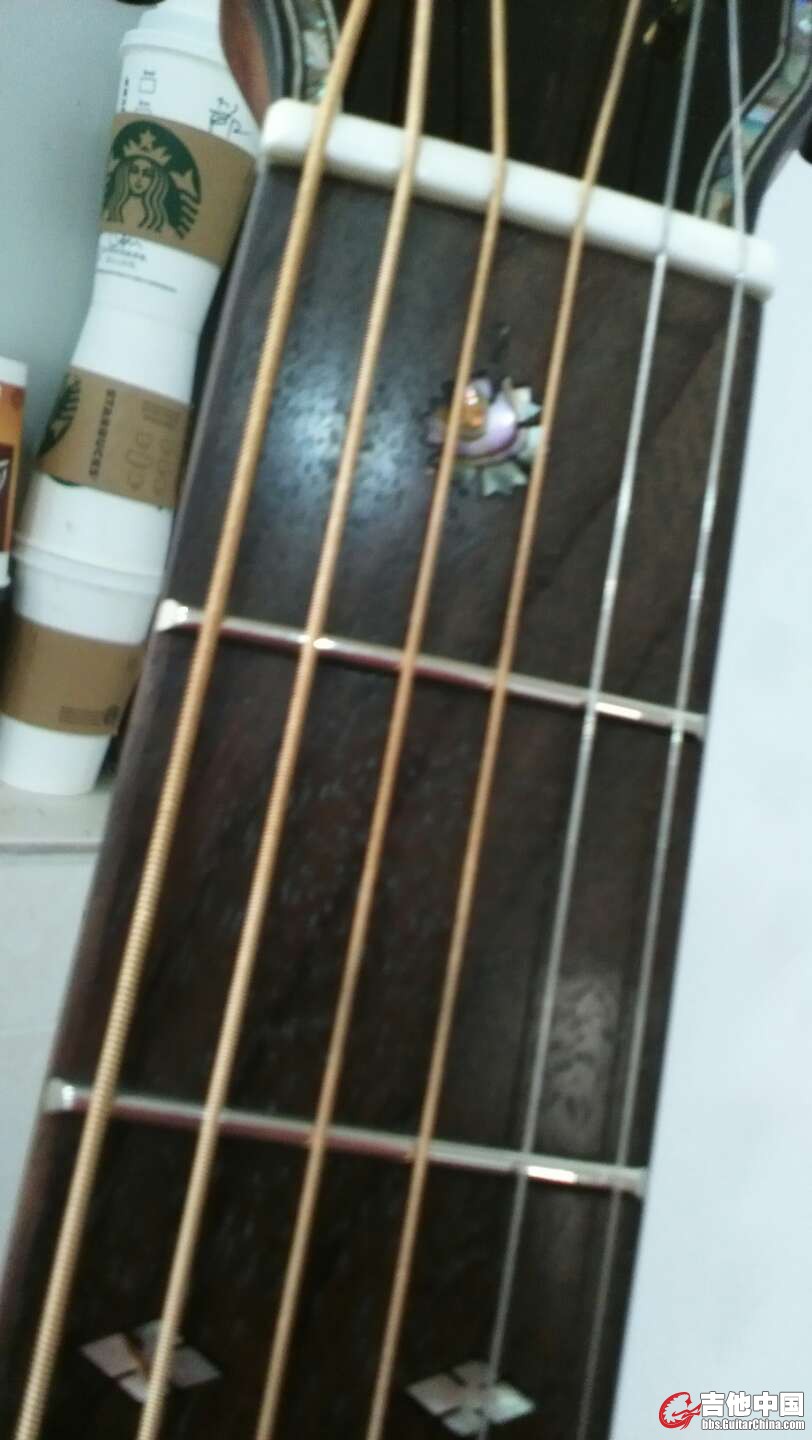 8371_4854891.jpg