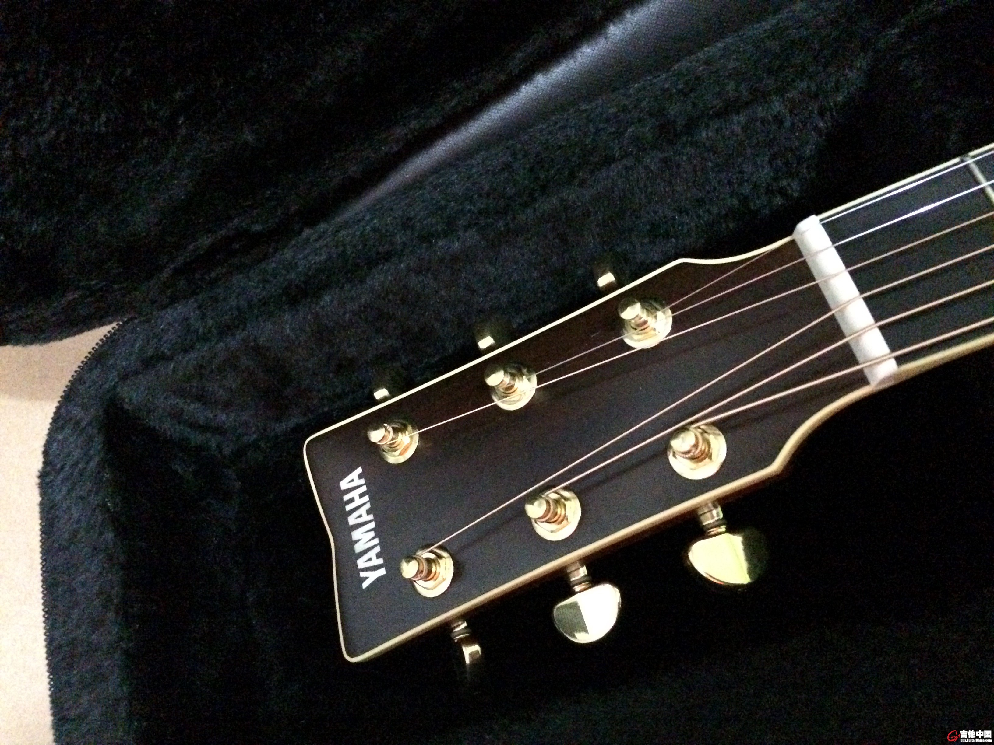 照片 004.jpg
