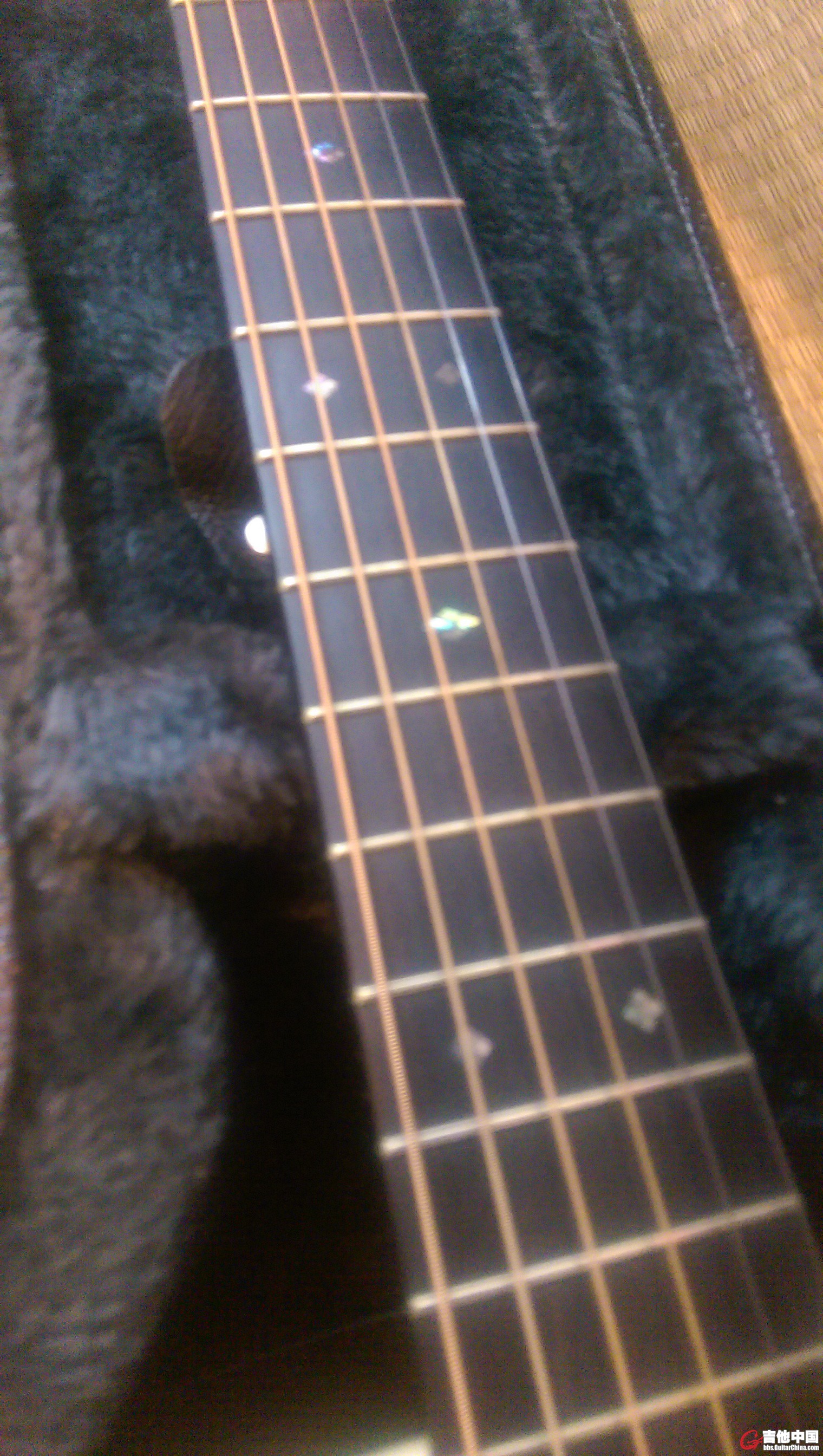 IMAG0010.jpg