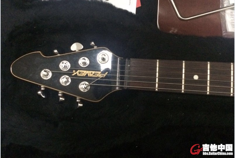 Peavey 5.jpg