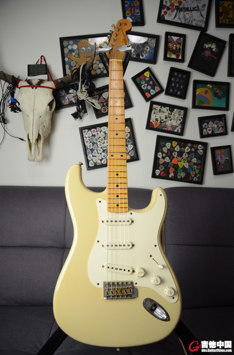 FENDER 59 MB TODD (1).JPG