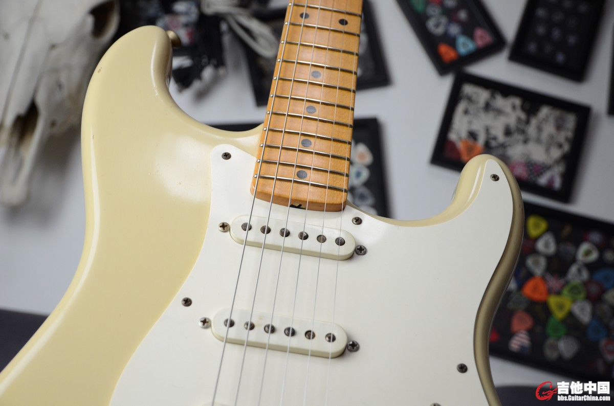 FENDER 59 MB TODD (7).JPG