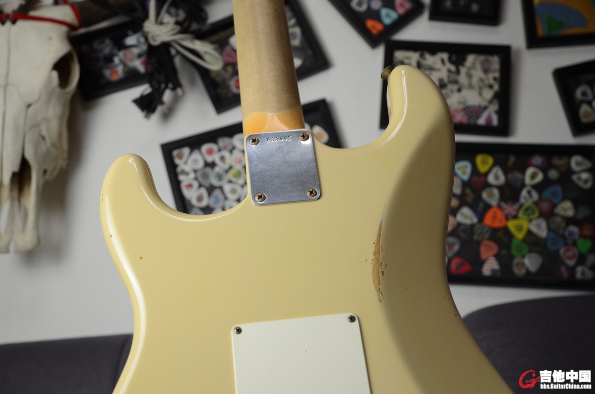 FENDER 59 MB TODD (9).JPG