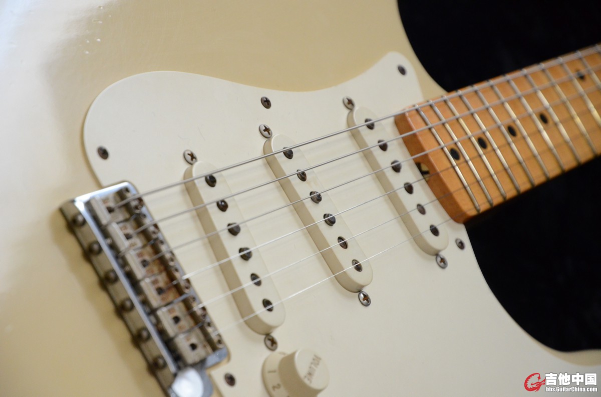 FENDER 59 MB TODD (12).JPG