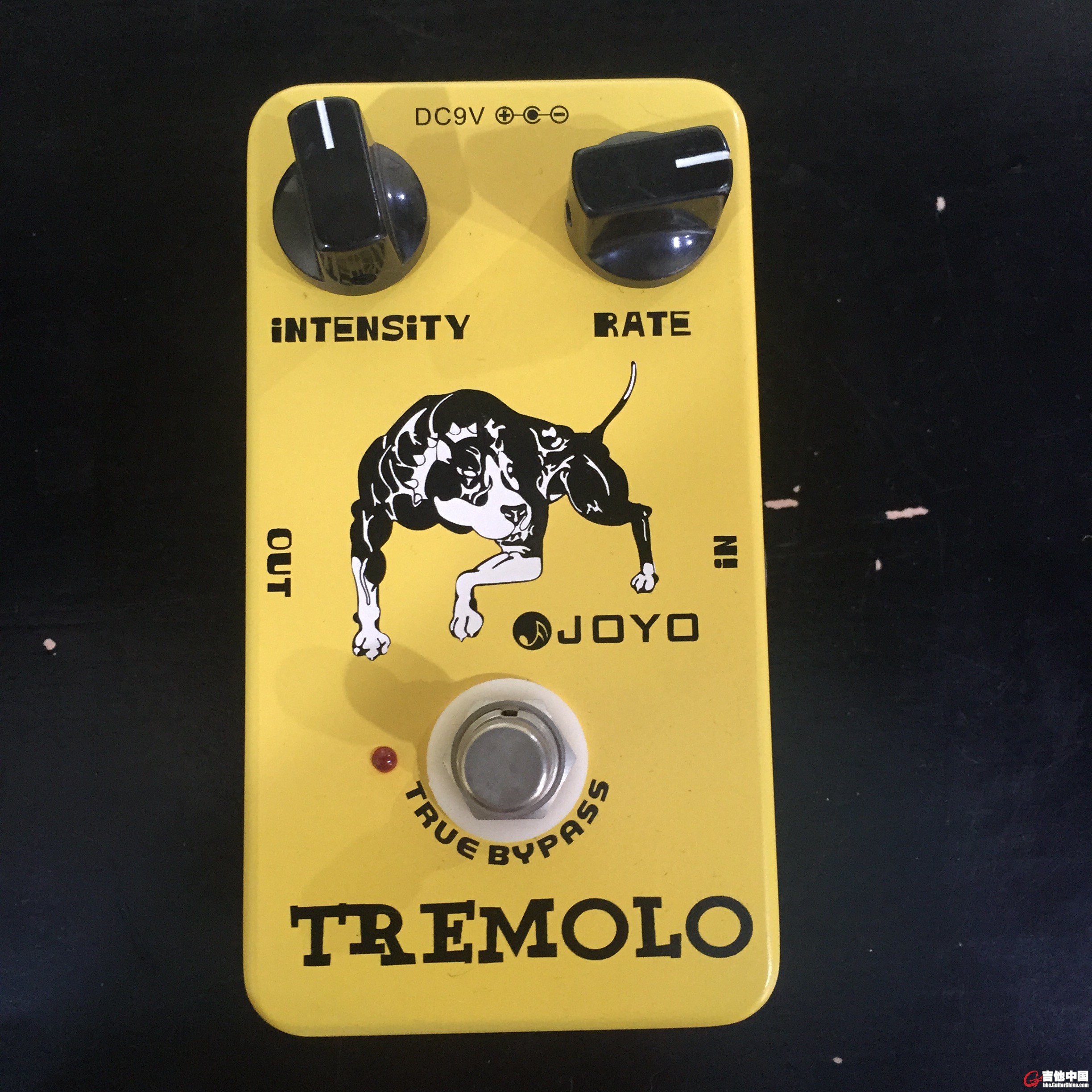 150-JOYOJF-09 Tremolo 颤音.JPG