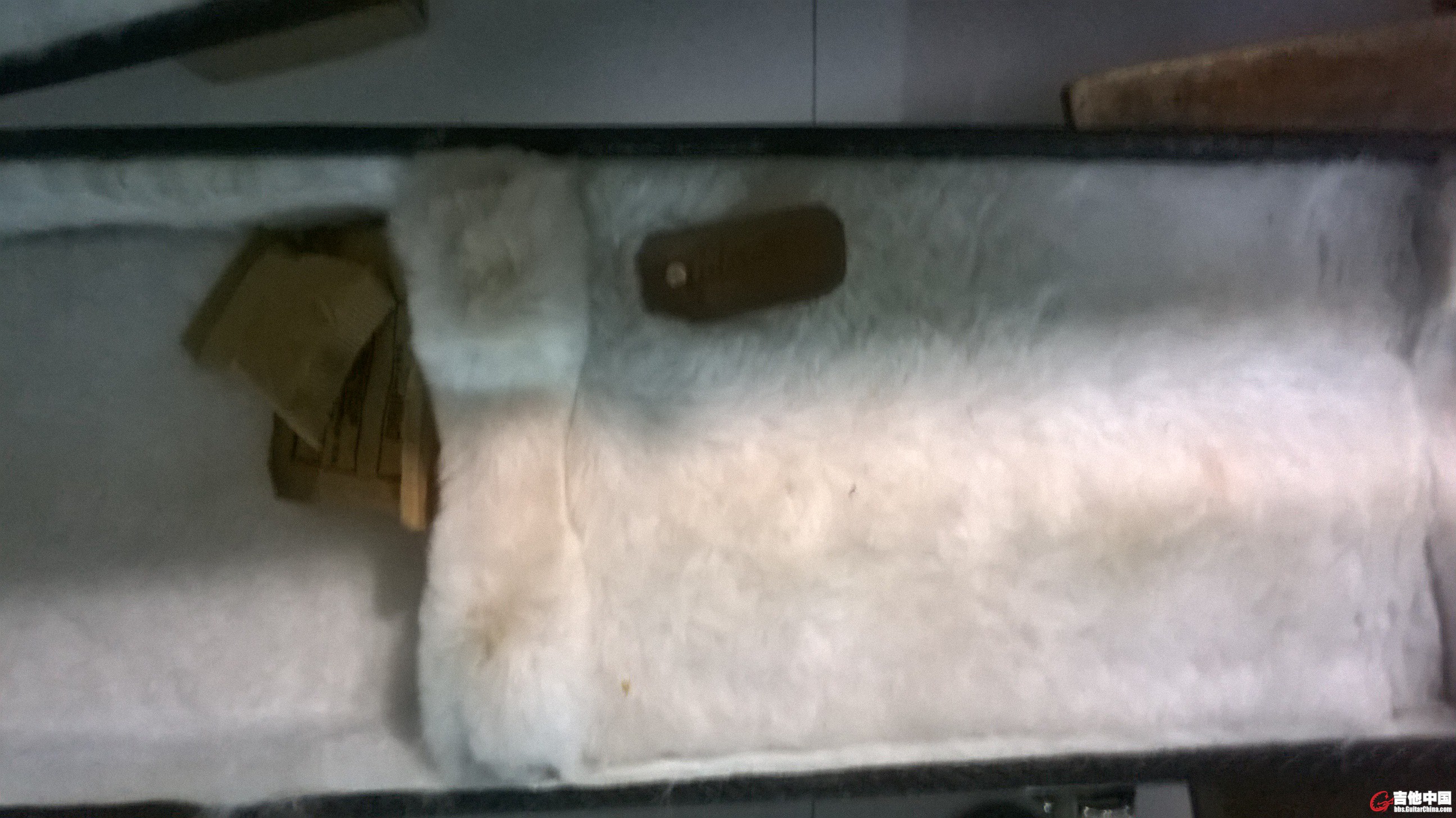WP_20150705_031.jpg