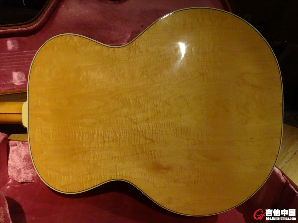 DSC01541c.jpg