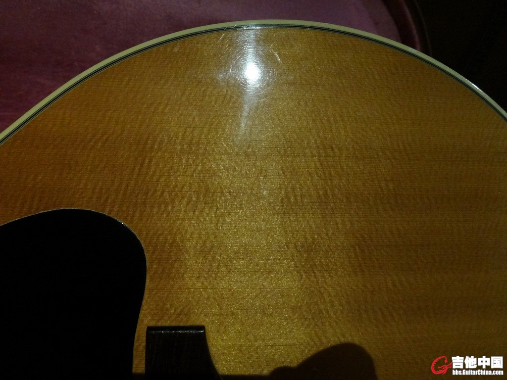 DSC01549c.jpg