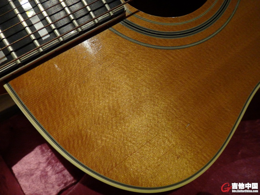 DSC01553c.jpg