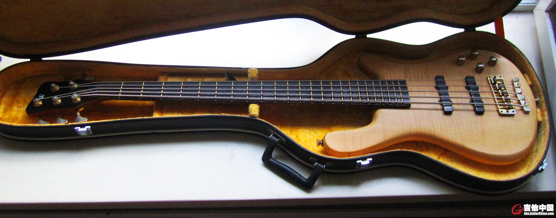 握威流光溢彩LX5 (1).jpg