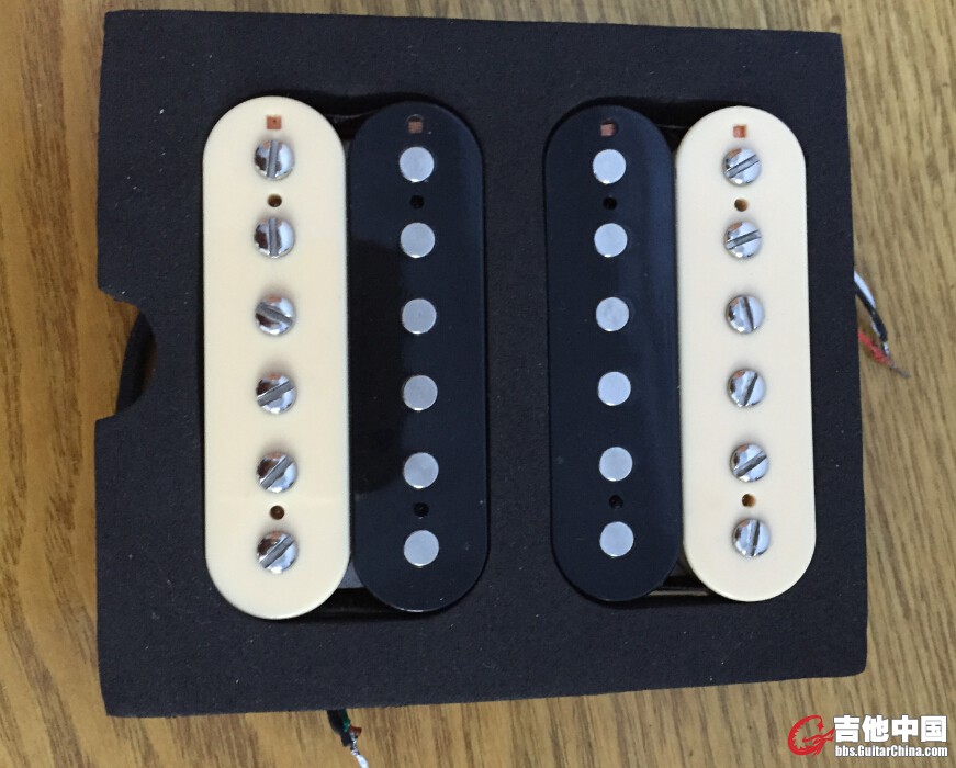 navis william斑马拾音器正.jpg