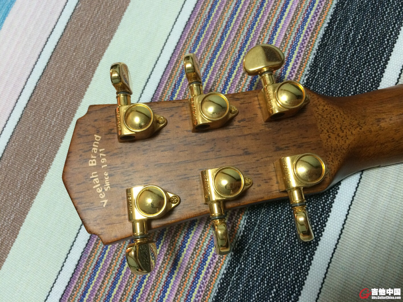 55555.jpg
