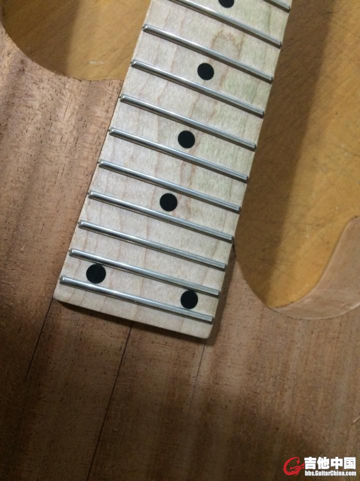 11653486_10153422205679664_1870459863_n.jpg