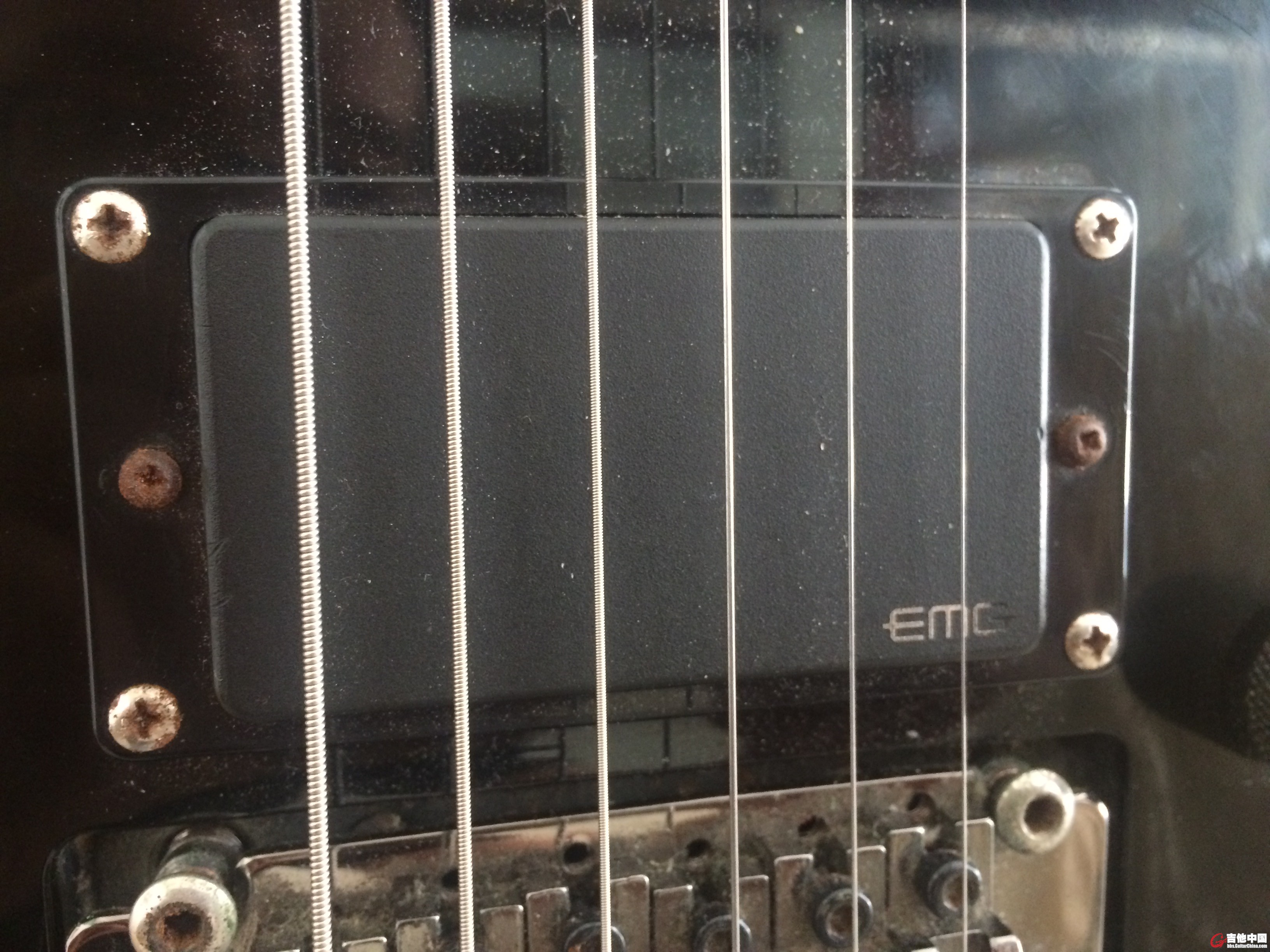 EMG81
