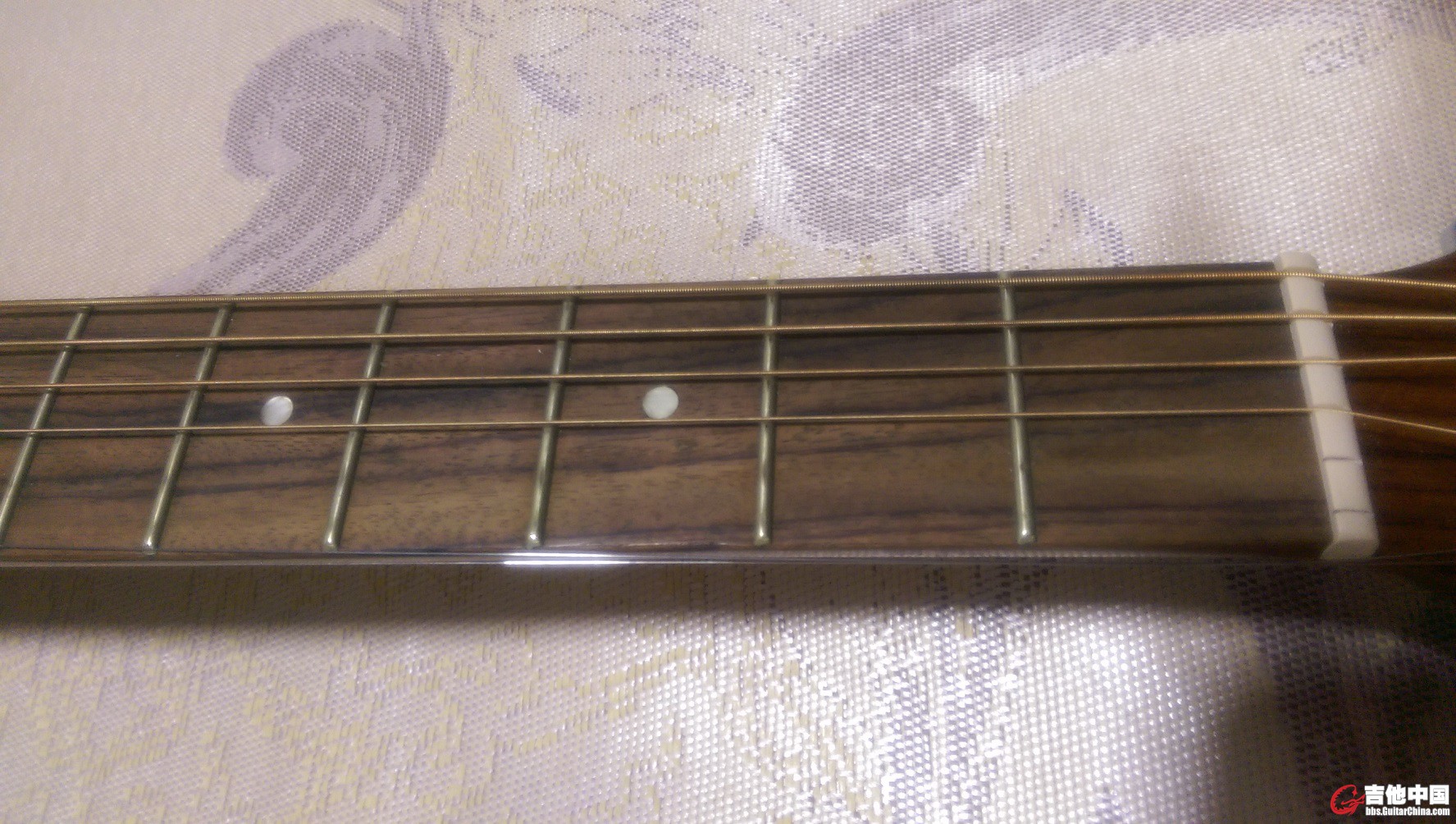 IMAG1256.jpg