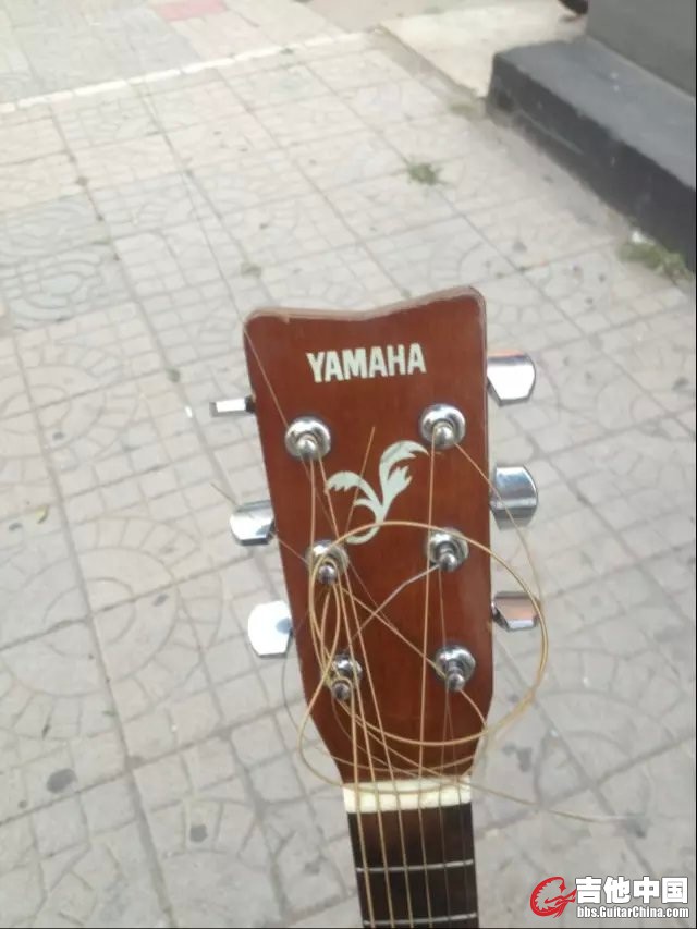image.jpg
