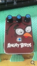 小鸟FUZZ.jpg
