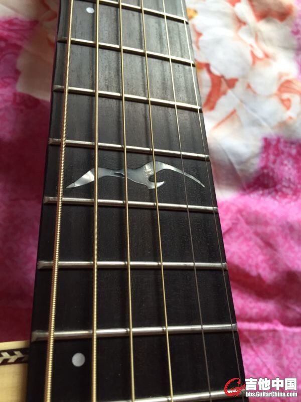 QQ图片20150818132858.jpg
