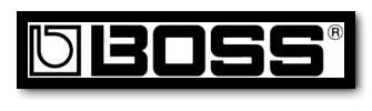 BOSS LOGO.jpg