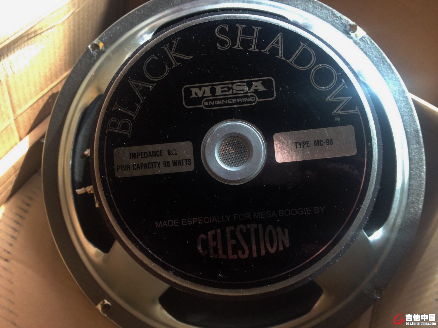 MESA Boogie Black Shadow.jpg