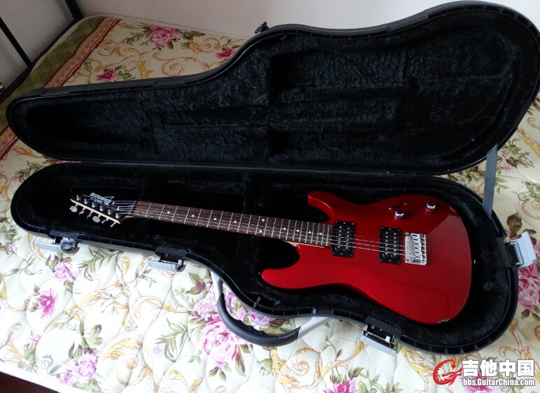 ibanez01.jpg