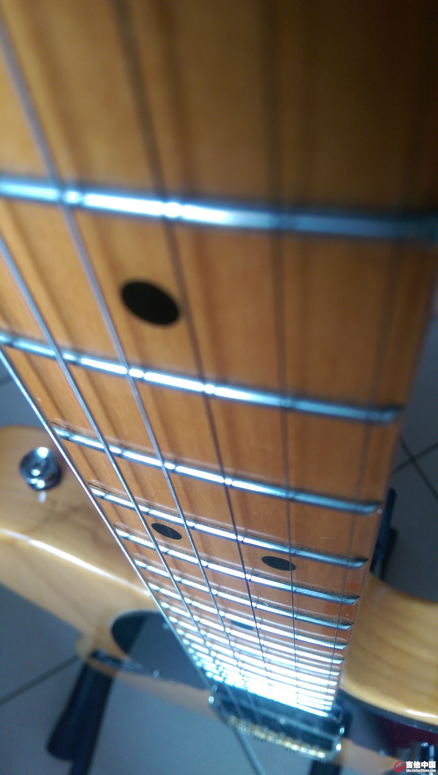 IMAG0016.jpg