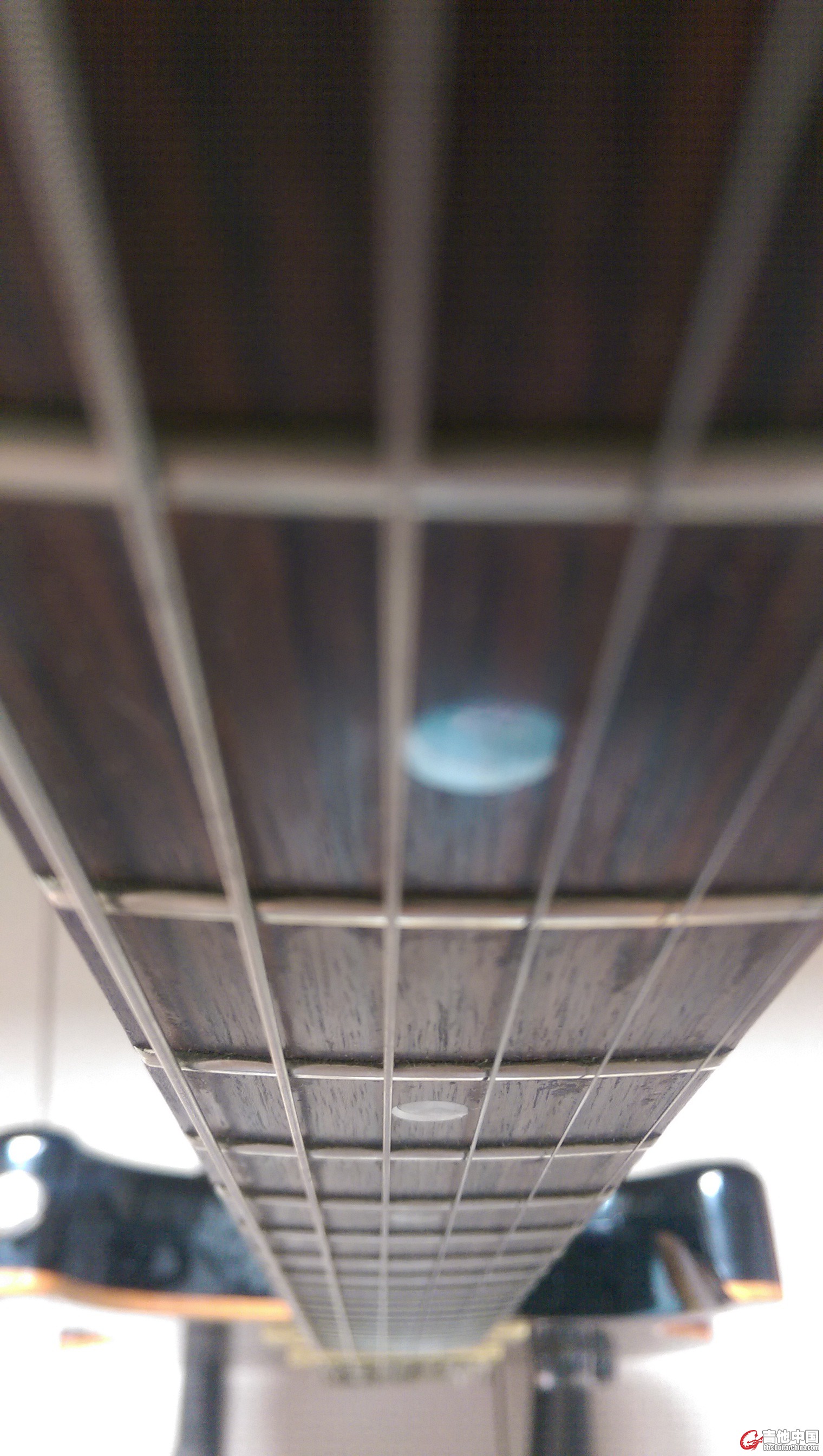 IMAG0025.jpg