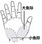 2014031754483953.jpg