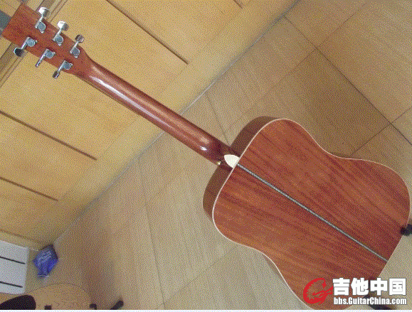 桃花心木侧后