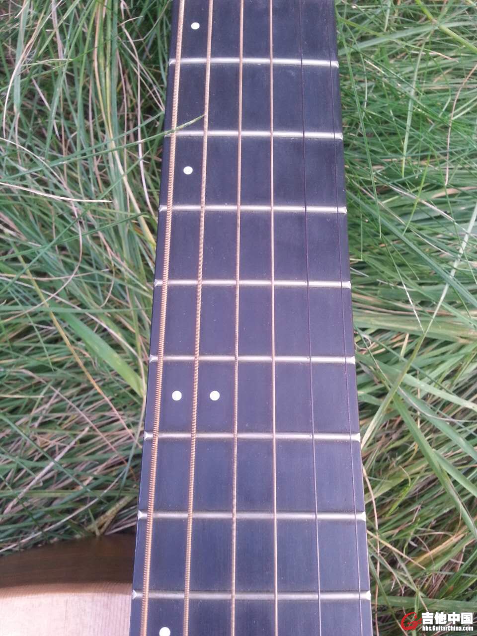 584201715053793507.jpg