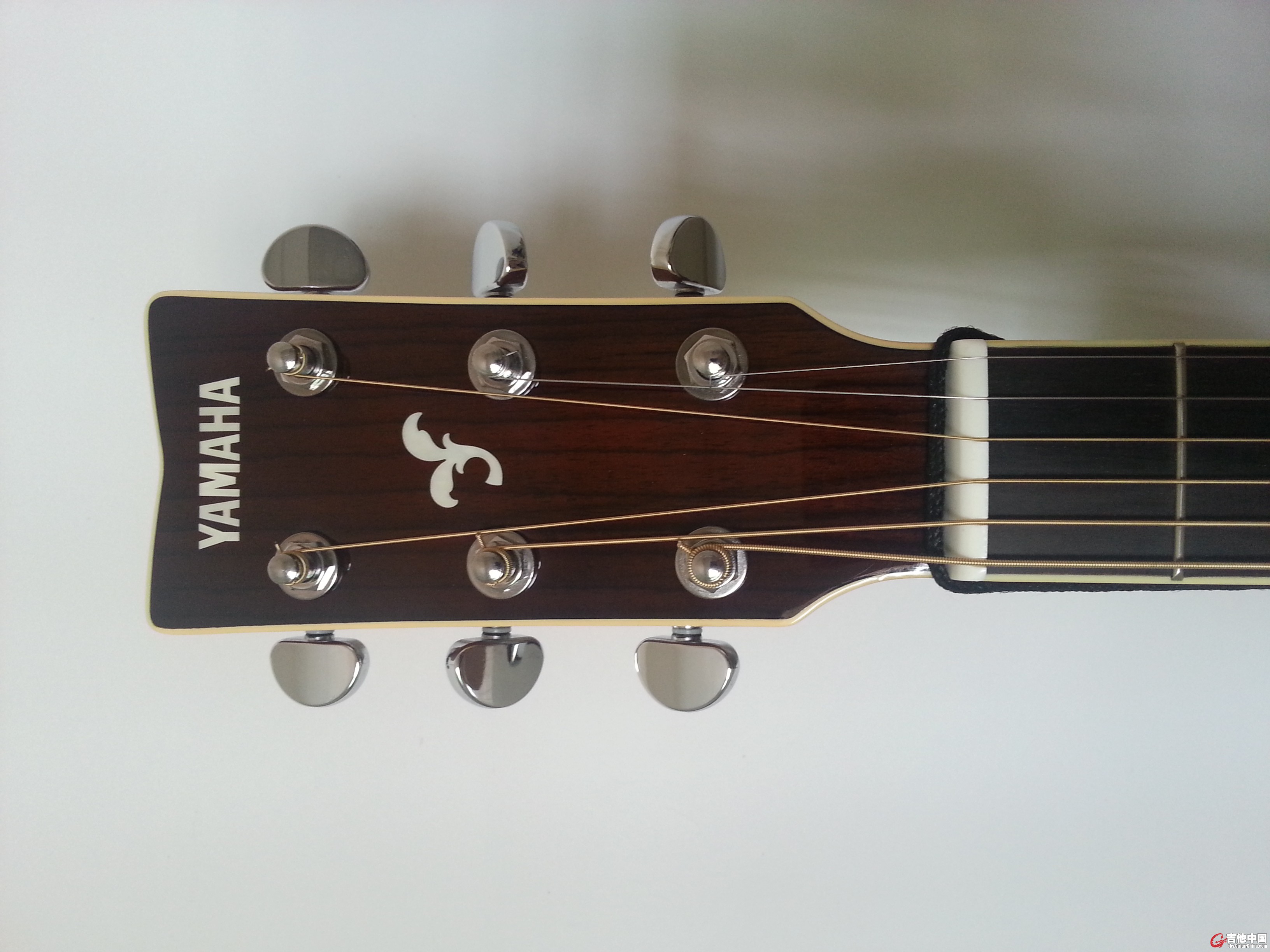 20151002_131448.jpg