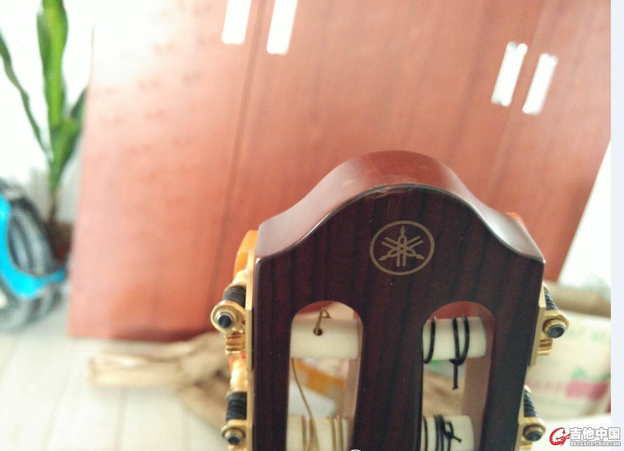 琴头小磕
