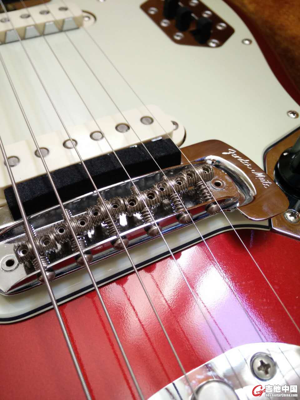 5.pic.jpg