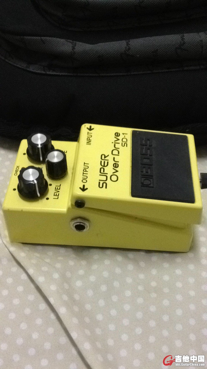 SD1.JPG