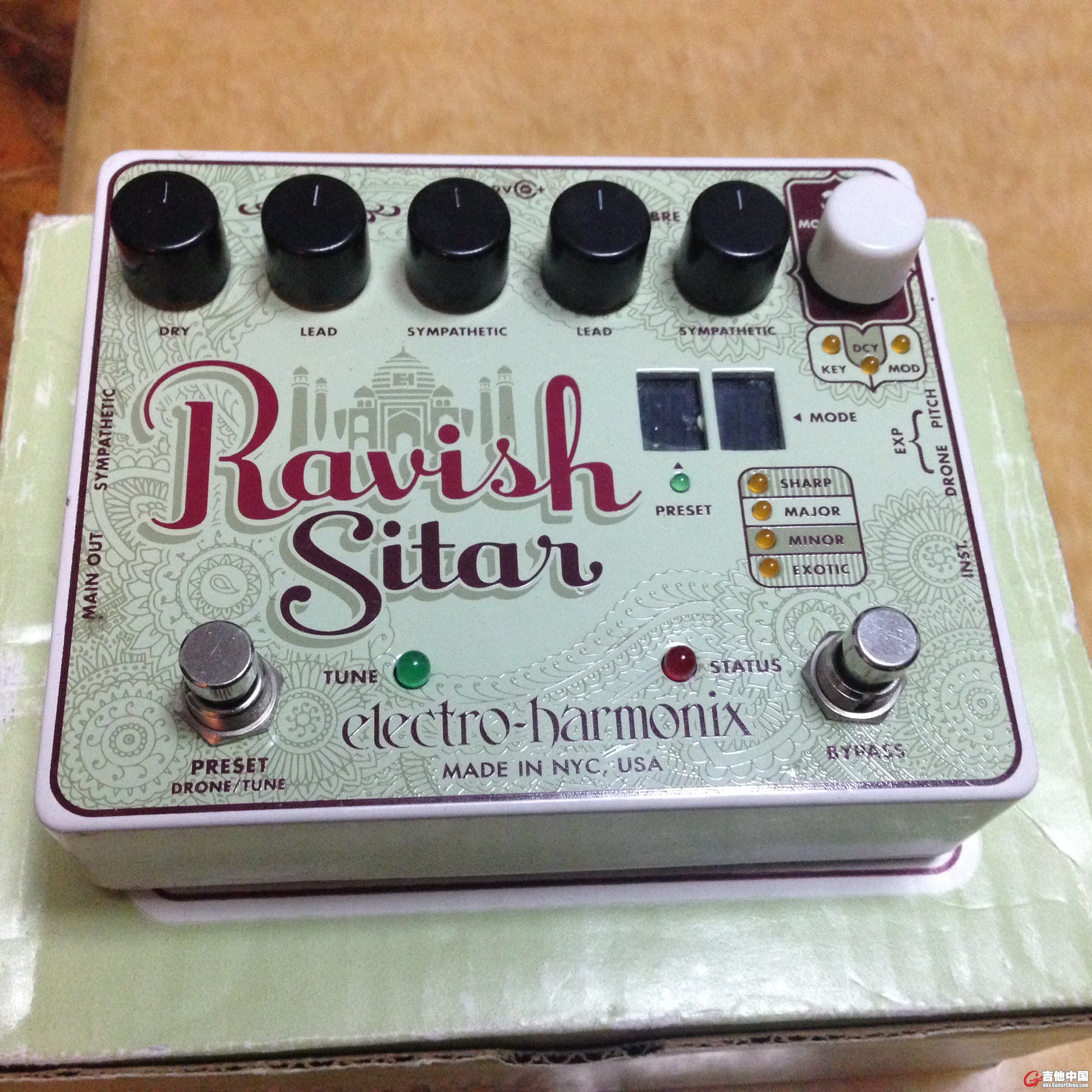 ravishsitar.jpg