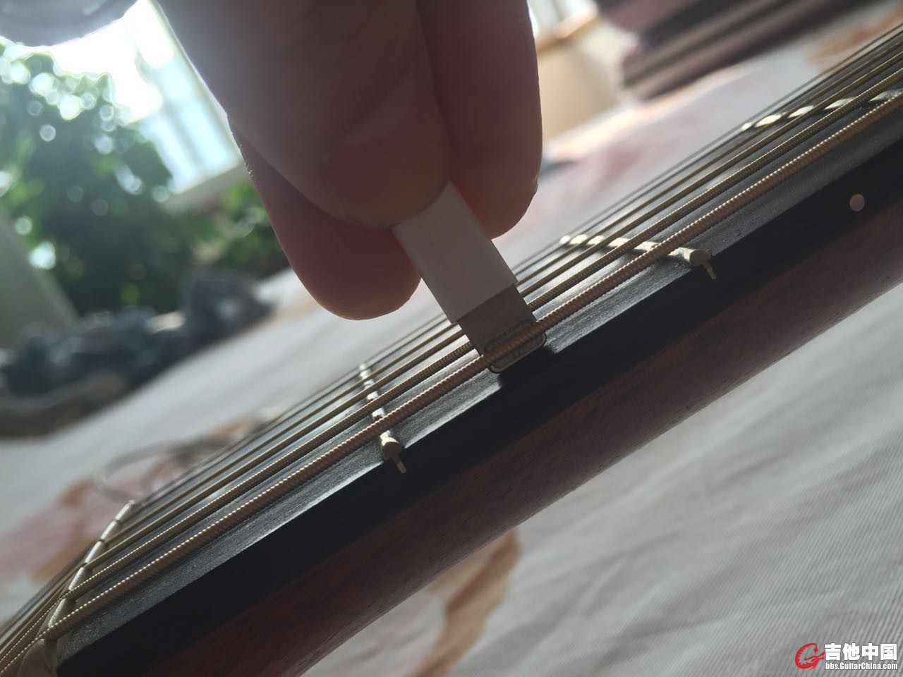 2075188492.jpg