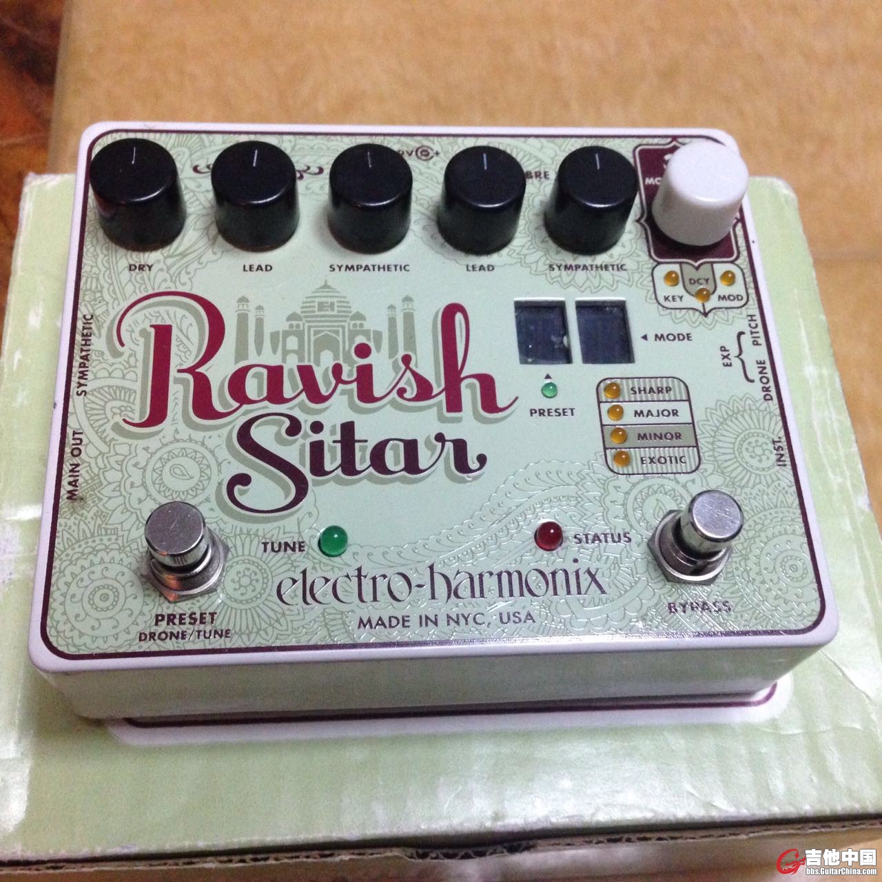 ravish sitar.jpg