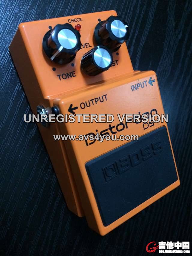 DS1  300