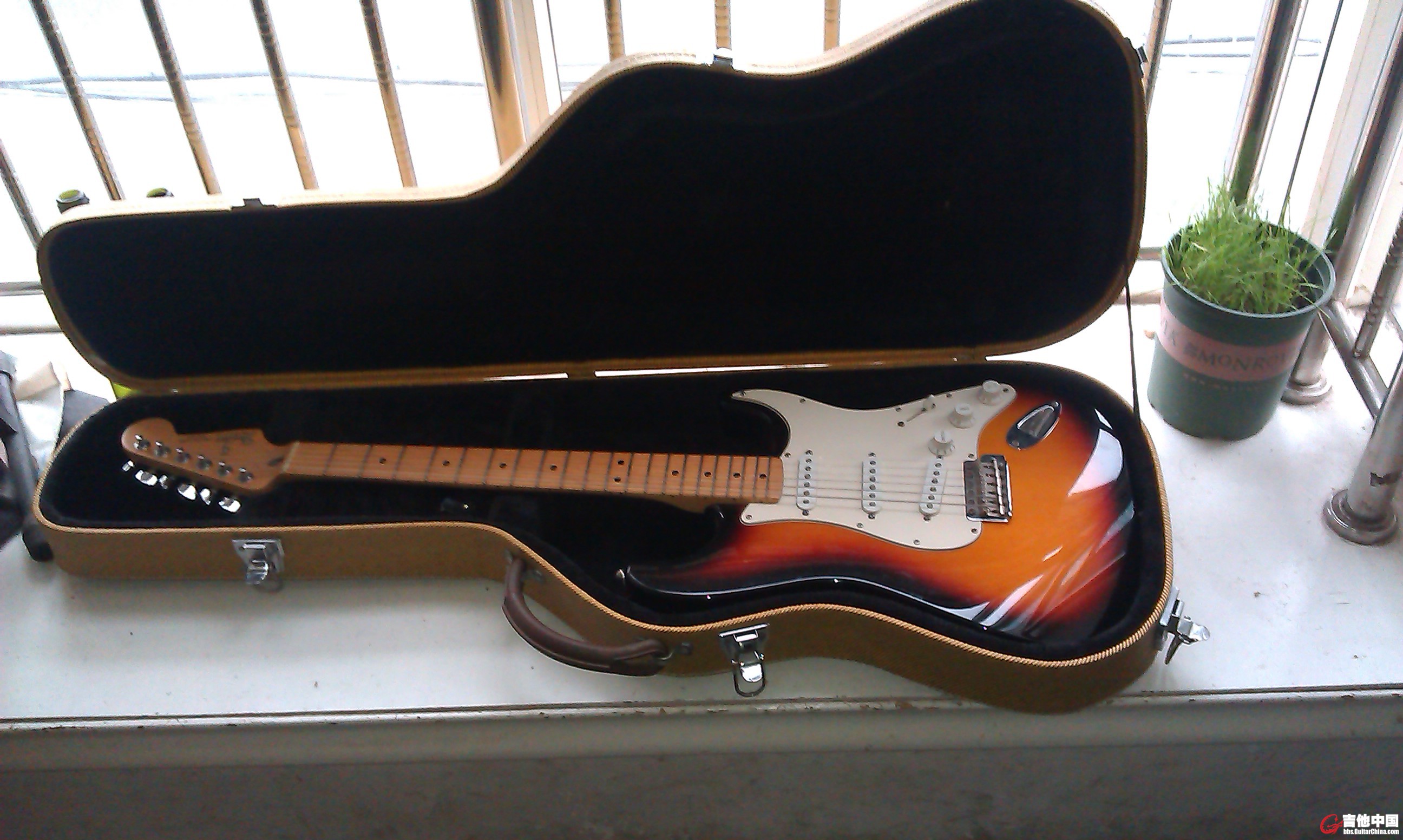 IMAG0055.jpg