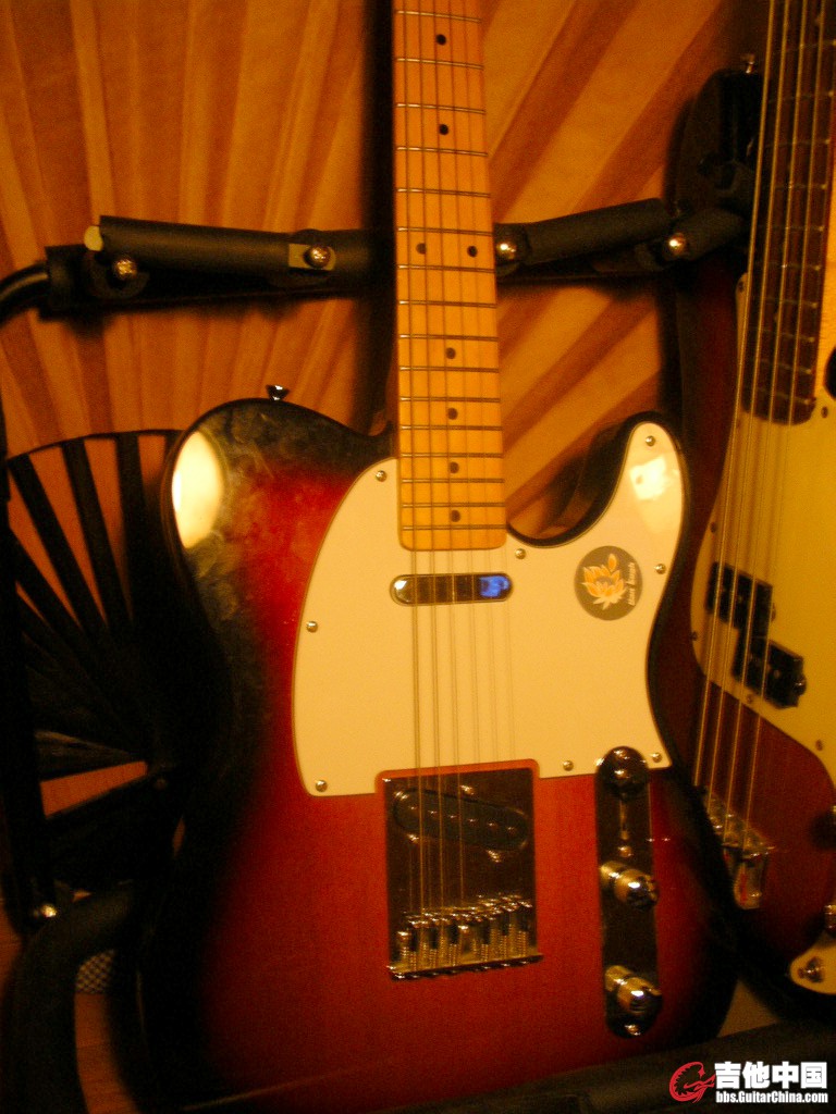 IMGP0370.JPG