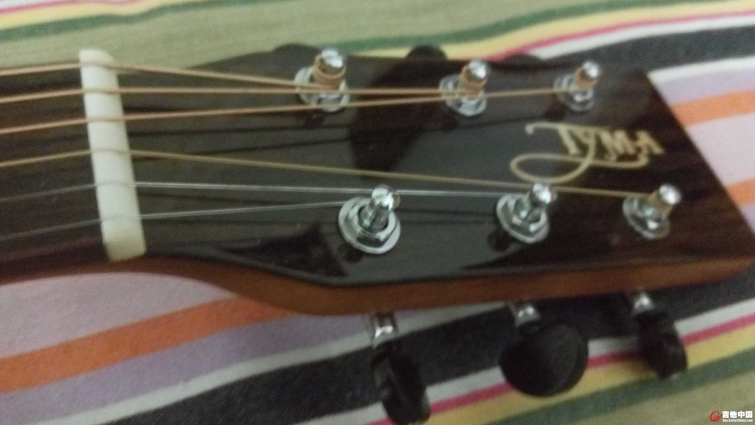P51116-210216.jpg
