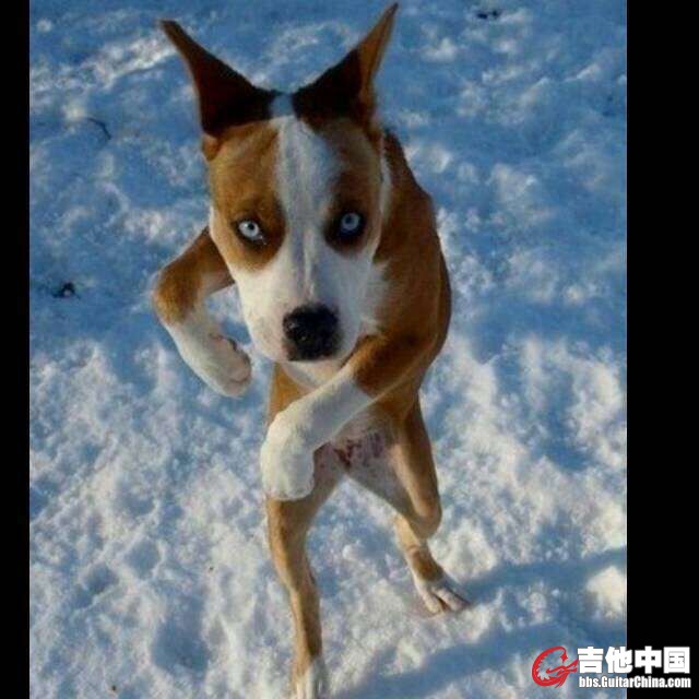 QQ图片20151116212305.jpg